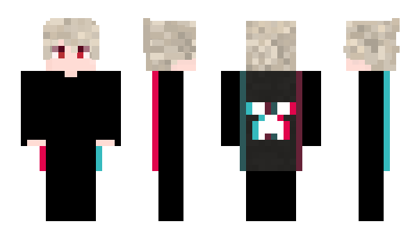 Minecraft skin passoni