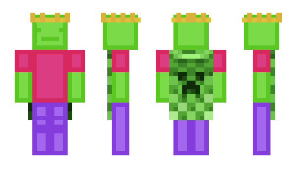Minecraft skin starlogged