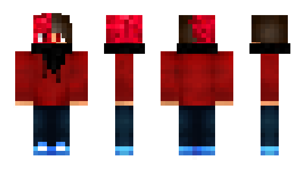 Minecraft skin HasCrashed