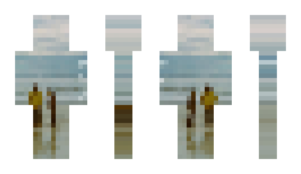 Minecraft skin tloi