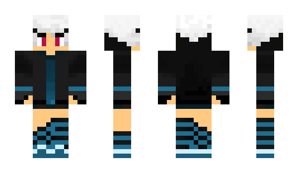 Minecraft skin RoboCap