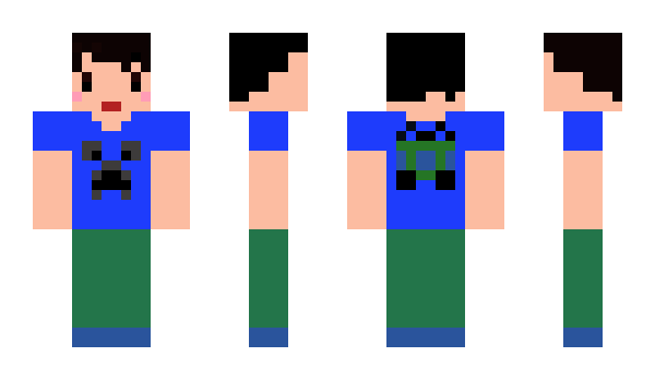 Minecraft skin mineji