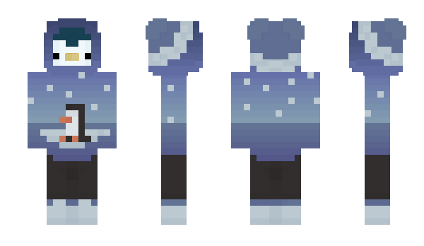 Minecraft skin pashoon