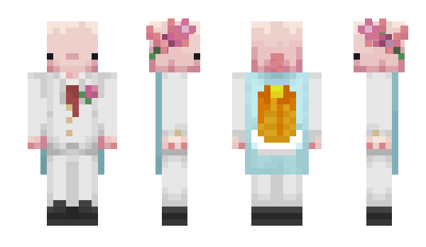 Minecraft skin Perchila67
