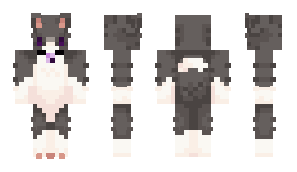 Minecraft skin badztimaru