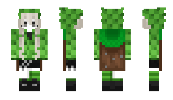 Minecraft скин по нику Gashish1