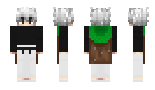 Minecraft skin whereamifalling