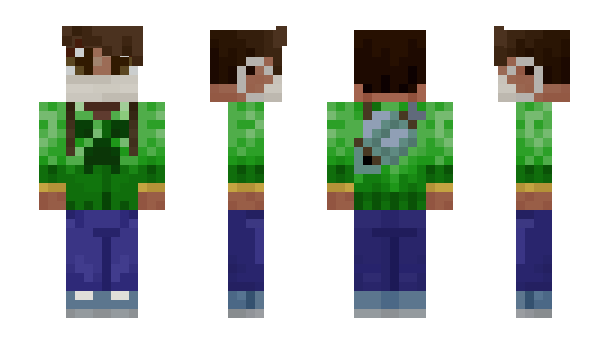 Minecraft skin Builderguy6215