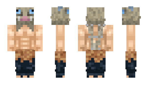 Minecraft skin SFin