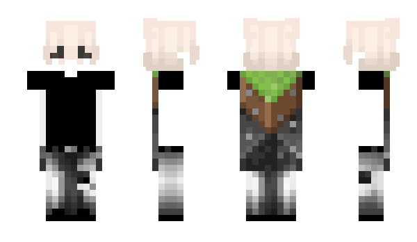 Minecraft скин по нику Vierny