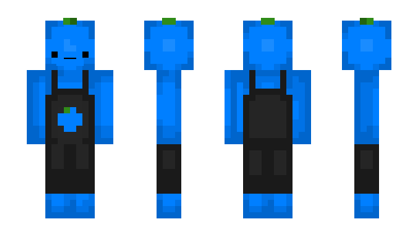 Minecraft skin chbl