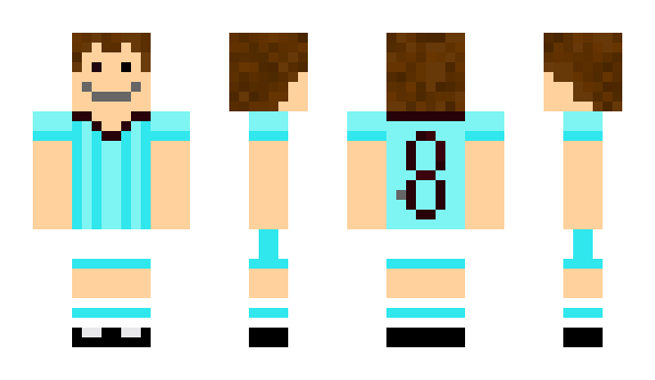 Minecraft skin Trint