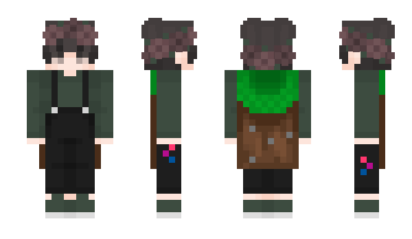 Minecraft скін по ніку BASSISTka