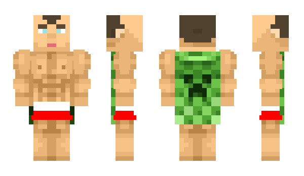 Minecraft skin ninjapolakezie