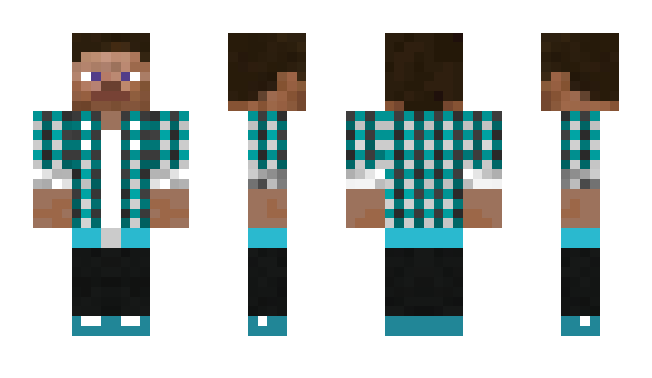 Minecraft skin teamhotwheel