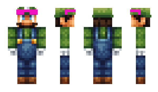 Minecraft skin Cash1212