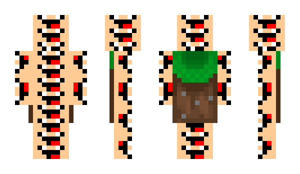 Minecraft skin 4v10