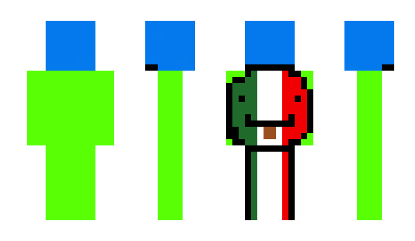 Minecraft skin MikolajEr