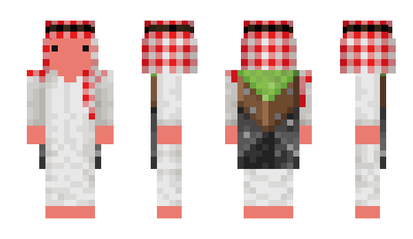 Minecraft скин по нику Ervp