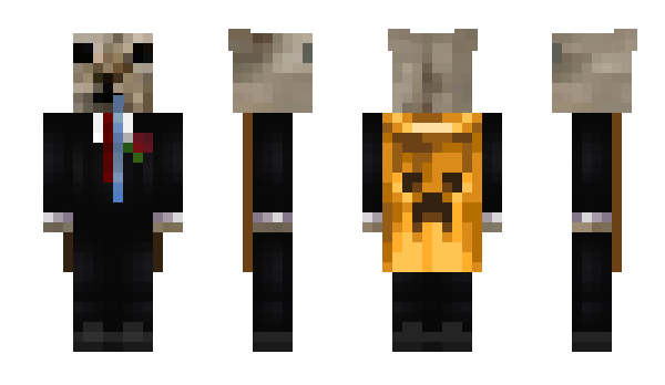 Minecraft skin V1ct0ro1