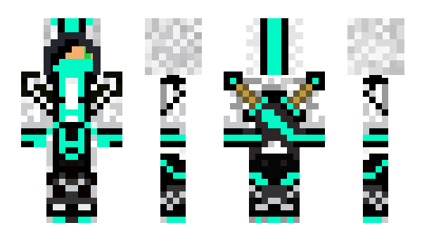 Minecraft skin CodeKing