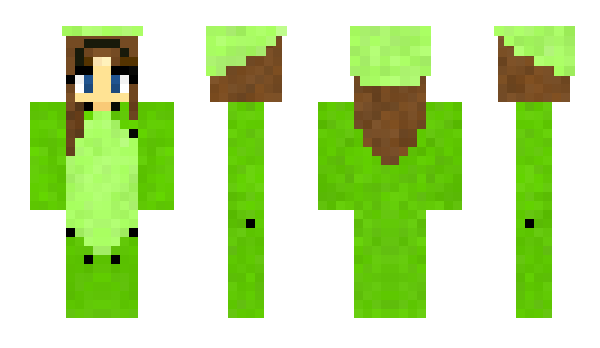 Minecraft skin ChaosKiwii