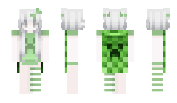 Minecraft skin matchingoutfit