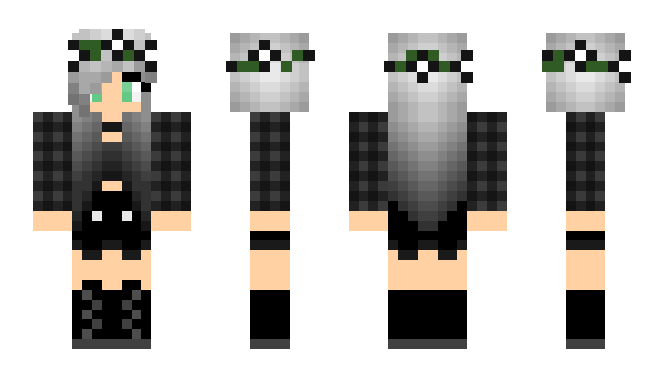 Minecraft skin Ra1ne