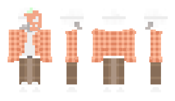 Minecraft skin DK4