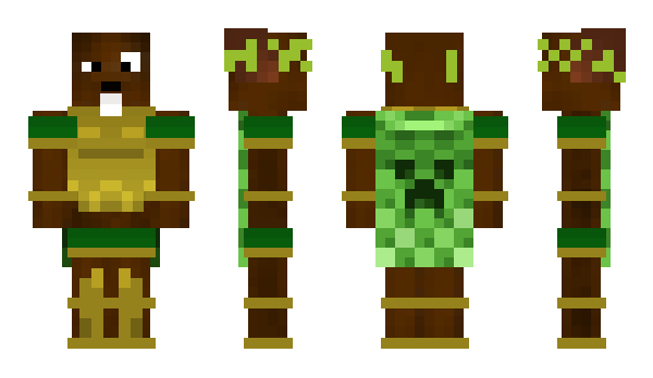 Minecraft skin ceski23