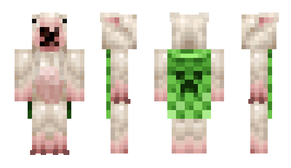 Minecraft skin FocusKiwi