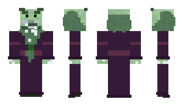 Minecraft skin Wizard_Fent