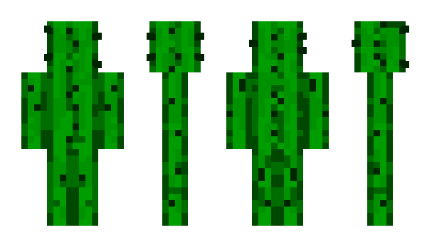Minecraft skin cactuses