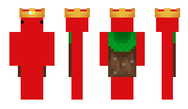 Minecraft skin SakunaYT