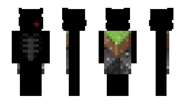 Minecraft skin LT2z