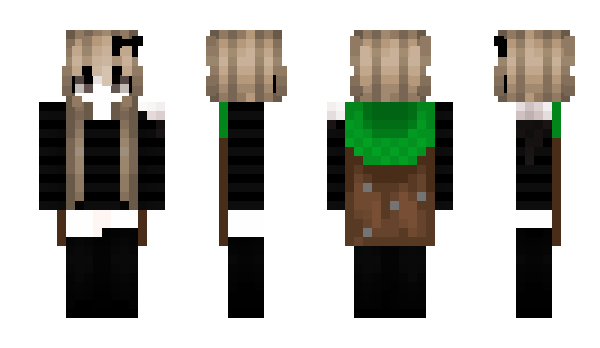 Minecraft skin evenvi