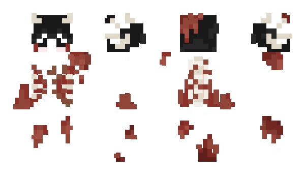 Minecraft skin Patomy