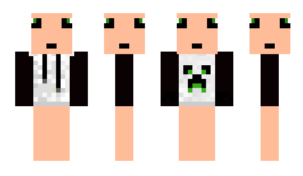 Minecraft skin PPVVPP