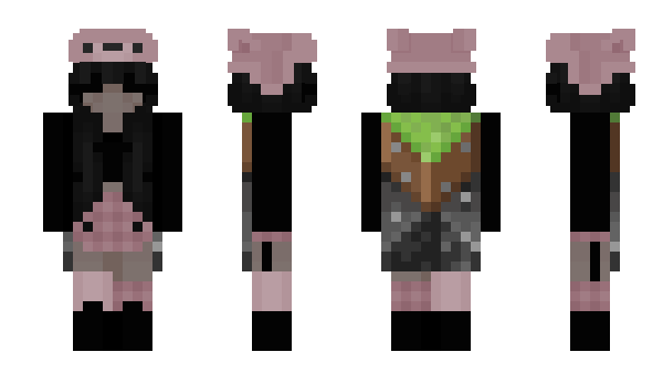 Minecraft skin lwia