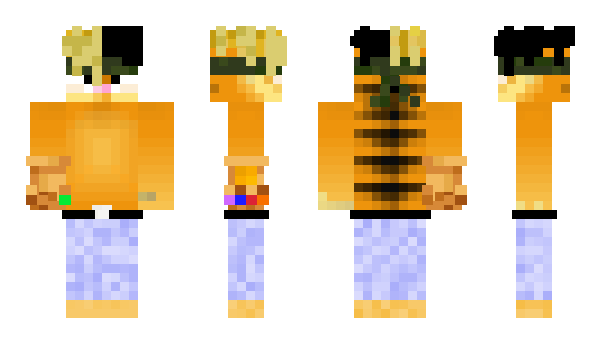 Minecraft skin Queston