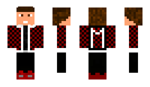 Minecraft skin dizim