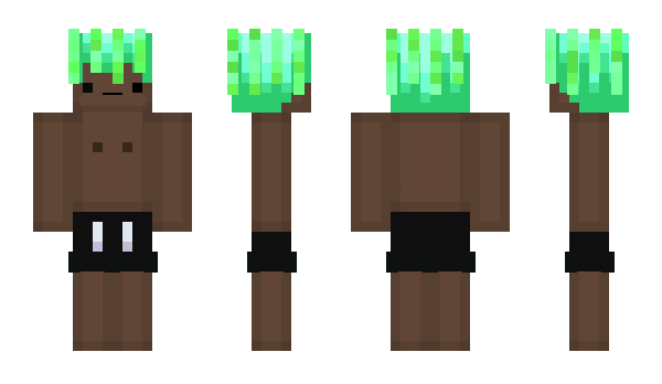 Minecraft skin braful