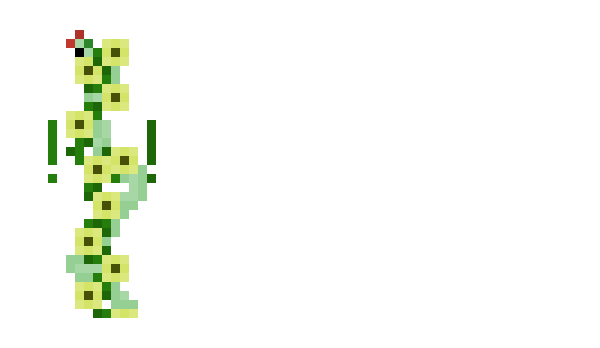 Minecraft скін по ніку Zetoch