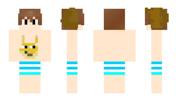 Minecraft skin woshiniba