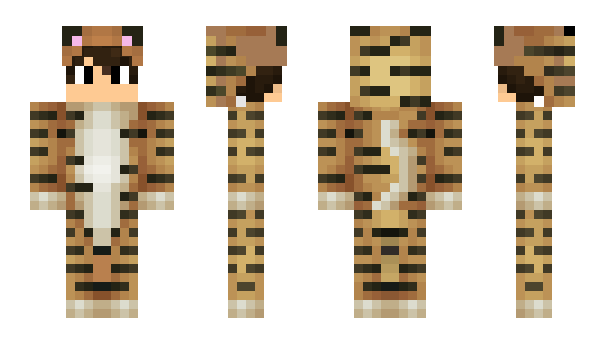 Minecraft skin Rogier24