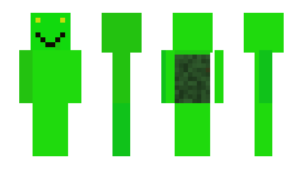 Minecraft skin vooll