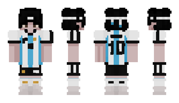 Minecraft skin PCMihai