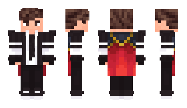 Minecraft skin ARCT0DUS