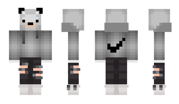 Minecraft skin dvddusen