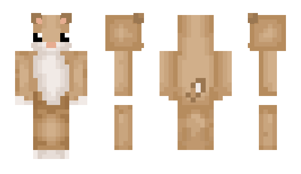 Minecraft skin Matcey
